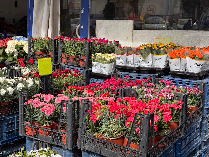An outdoor display of vibrant potted carnations in shades of pink, red, white, orange, and yellow arranged in black plastic crates on a flower shop's sidewalk. The flowers are fresh with lush green le